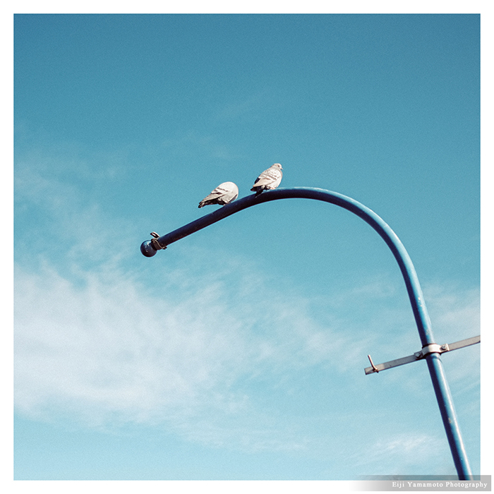 vsco film