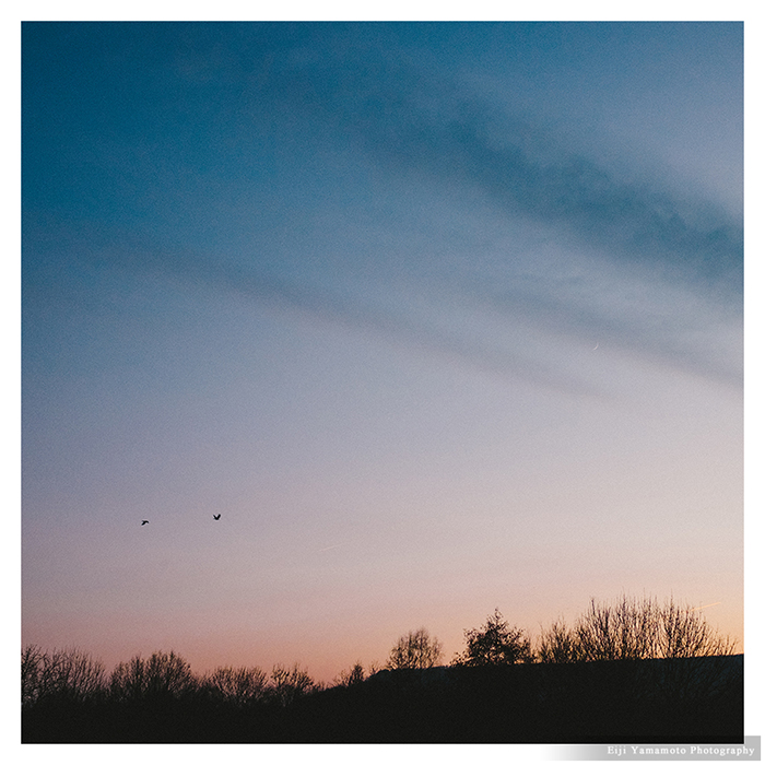vsco film