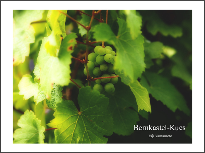 ベルンカステル=クース