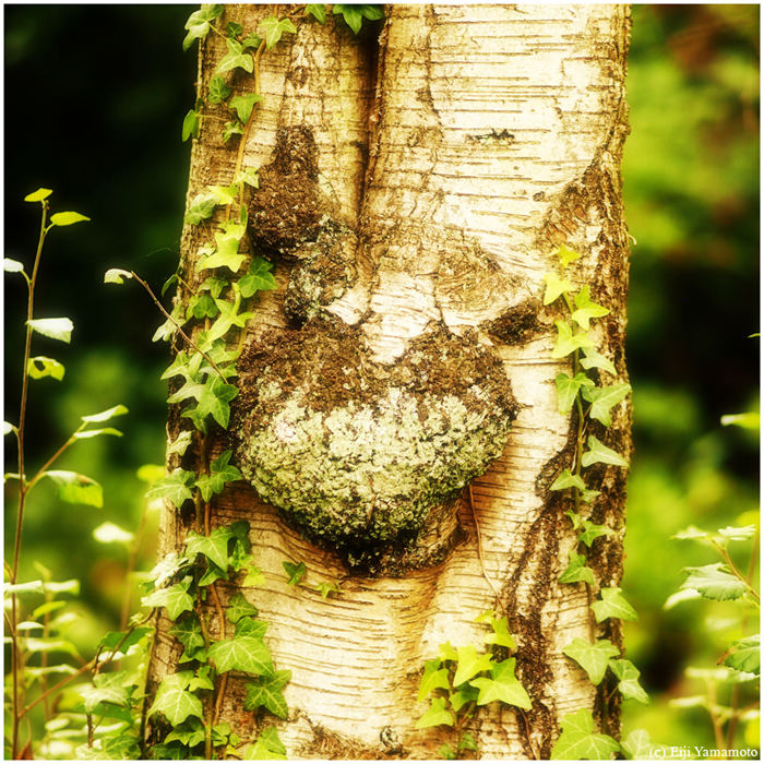 ザールブリュッケン