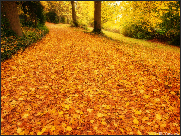 ザールブリュッケン