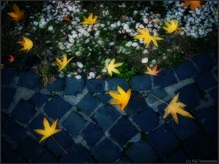 ザールブリュッケン