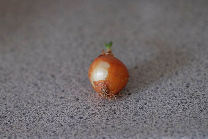食べ物