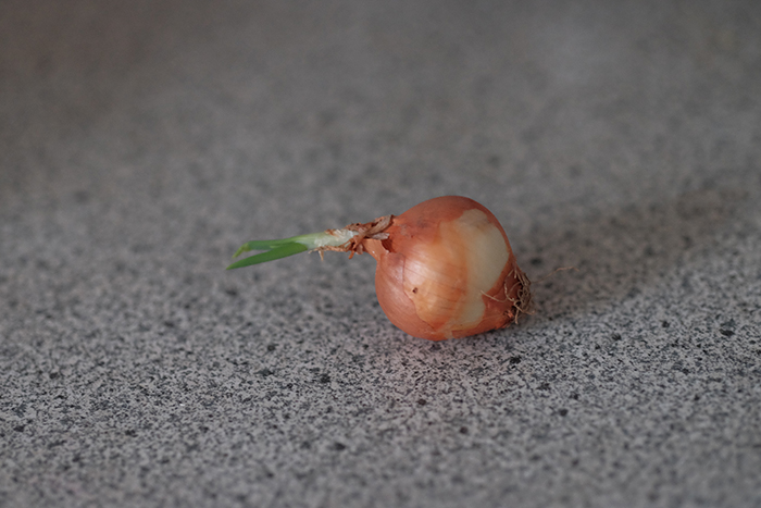 食べ物