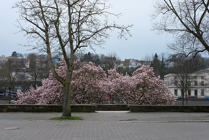 ザールブリュッケン