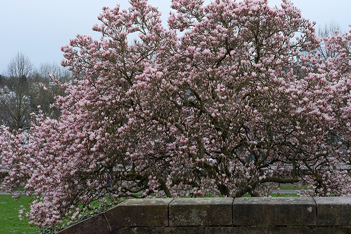 ザールブリュッケン