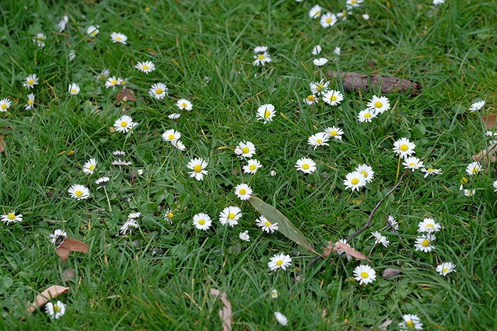 ザールブリュッケン