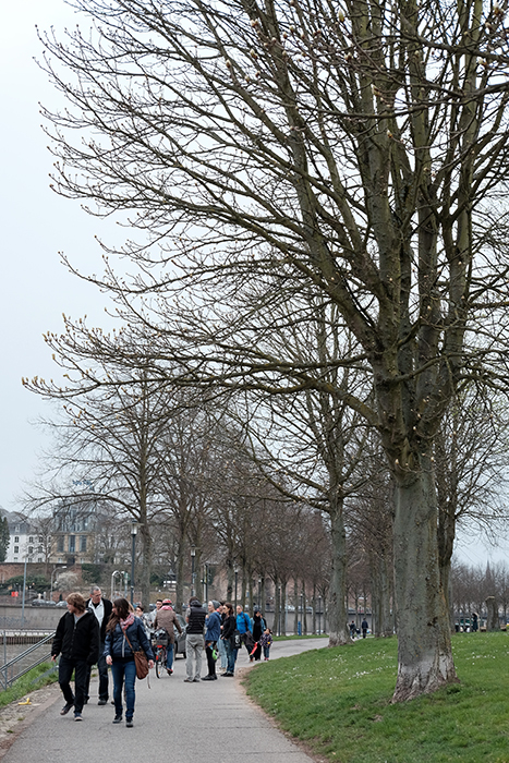 ザールブリュッケン