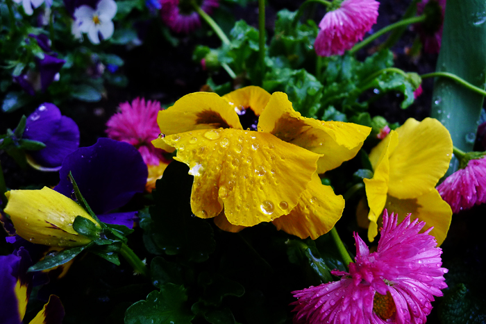 ザールブリュッケン