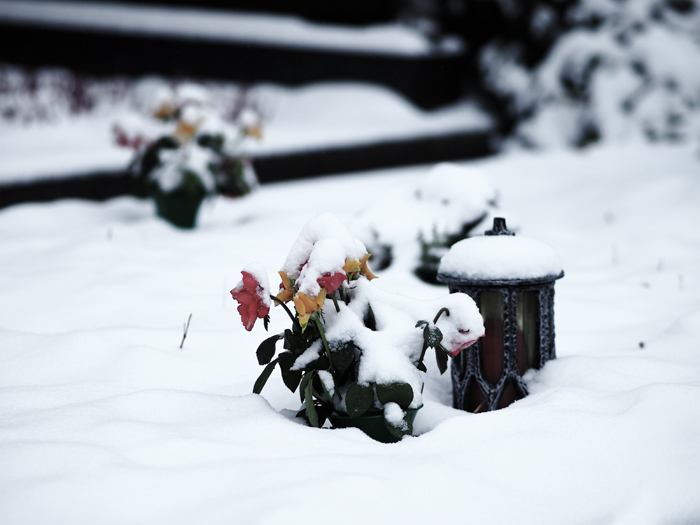 ザールブリュッケン