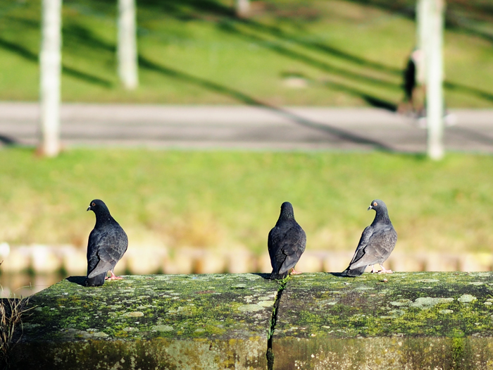 ザールブリュッケン