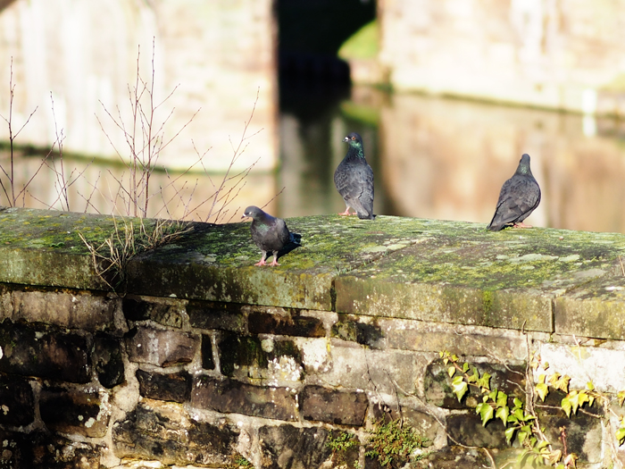 ザールブリュッケン