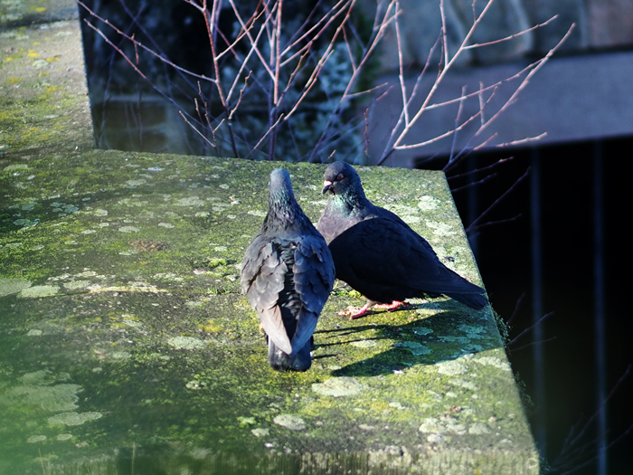 ザールブリュッケン