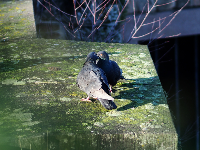 ザールブリュッケン