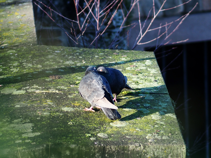 ザールブリュッケン