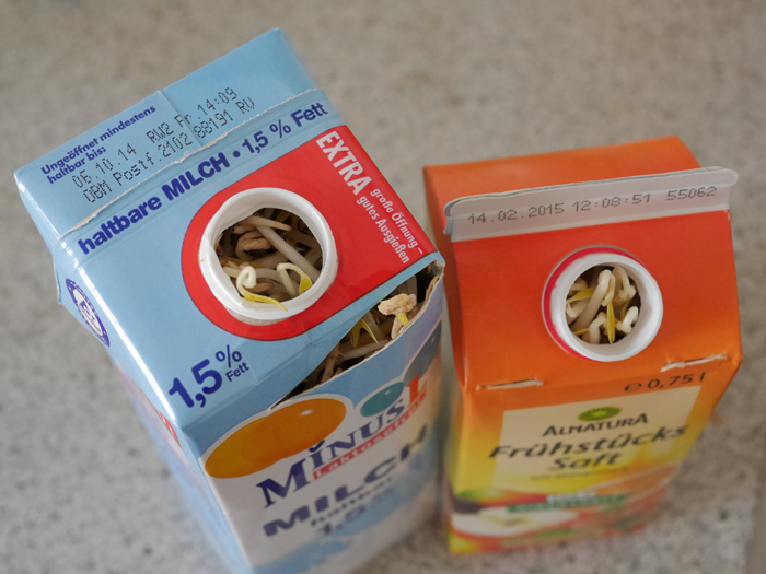 もやし