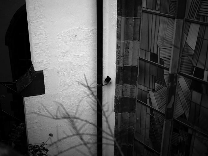 ザールブリュッケン