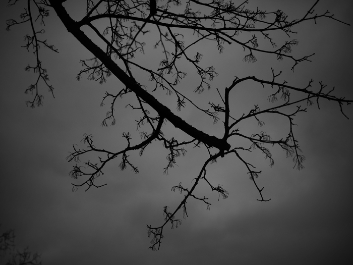 ザールブリュッケン