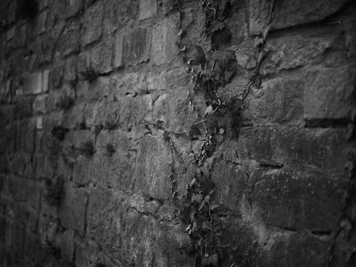 ザールブリュッケン