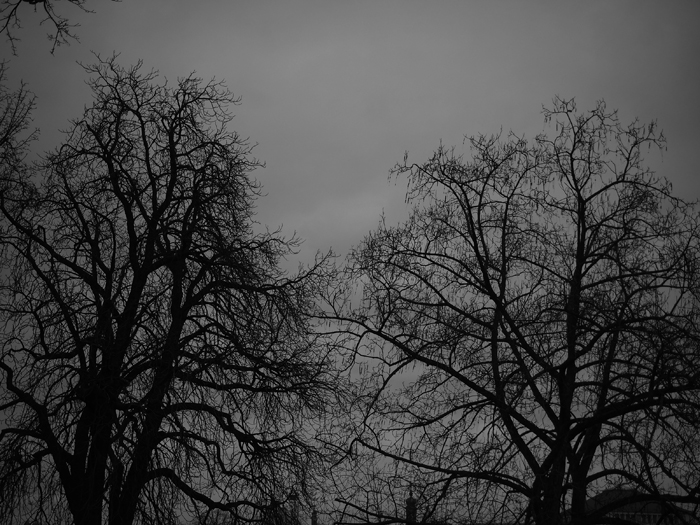 ザールブリュッケン