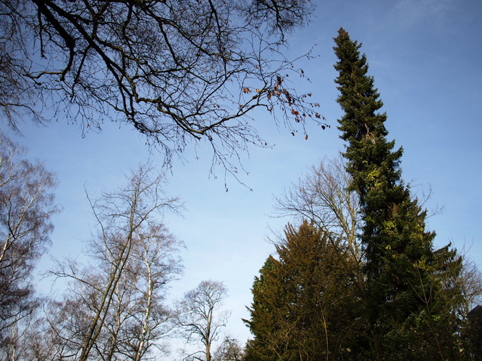 ザールブリュッケン