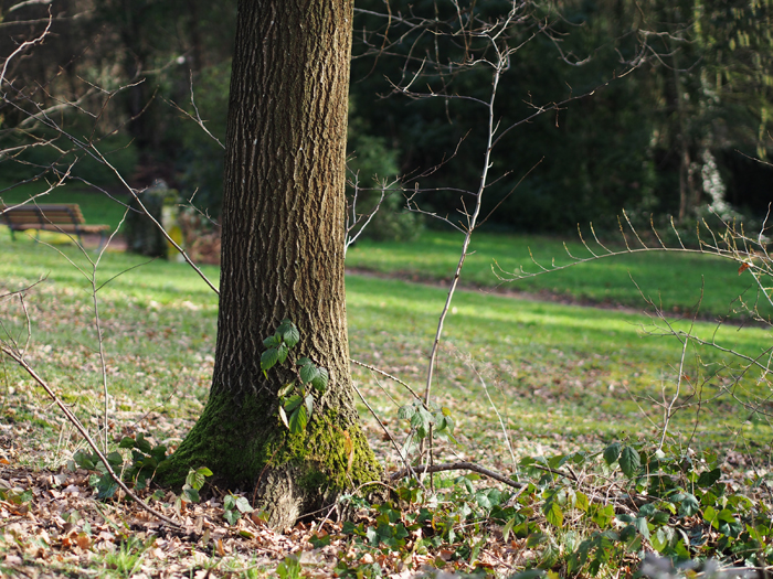 ザールブリュッケン