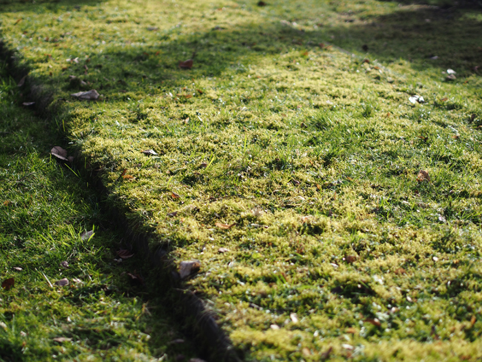 ザールブリュッケン