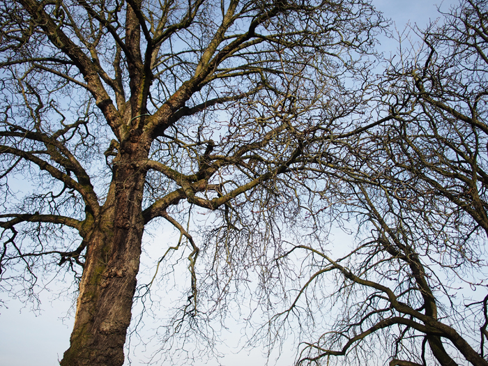 ザールブリュッケン