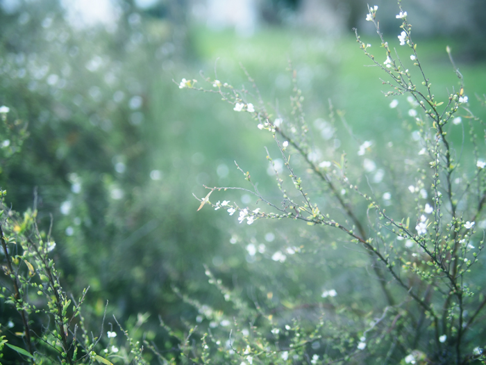 ザールブリュッケン