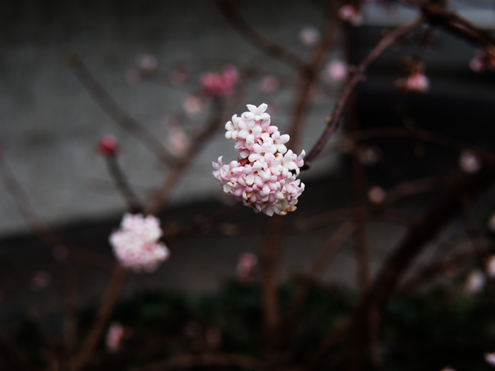 ザールブリュッケン