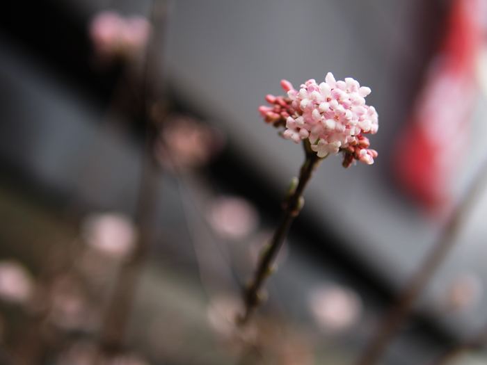 ザールブリュッケン