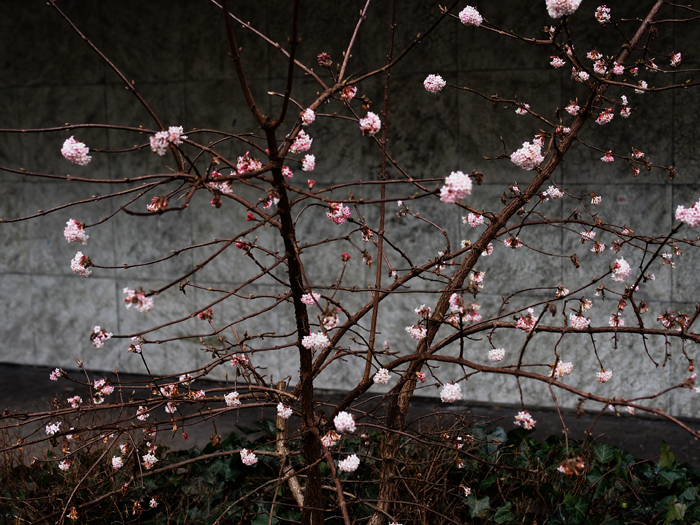 ザールブリュッケン