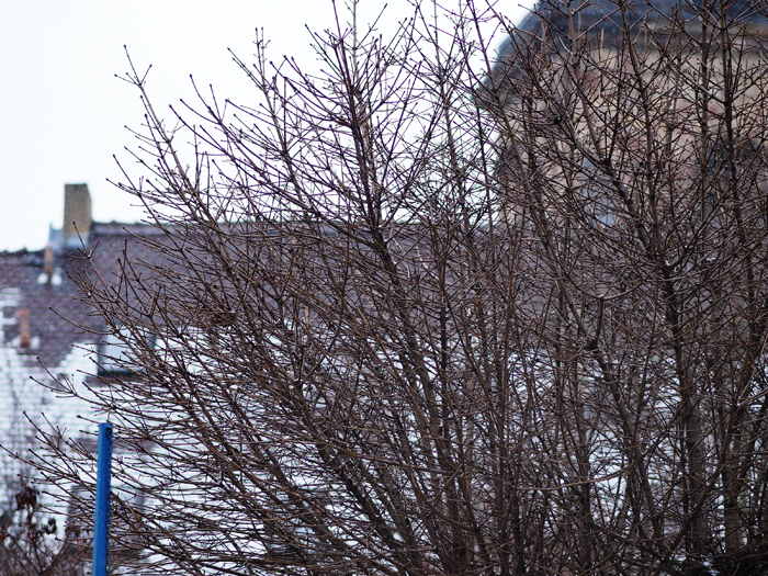 ザールブリュッケン