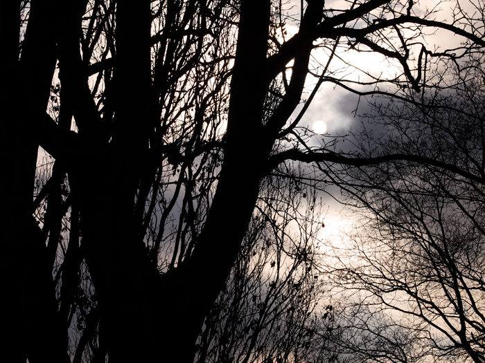 ザールブリュッケン