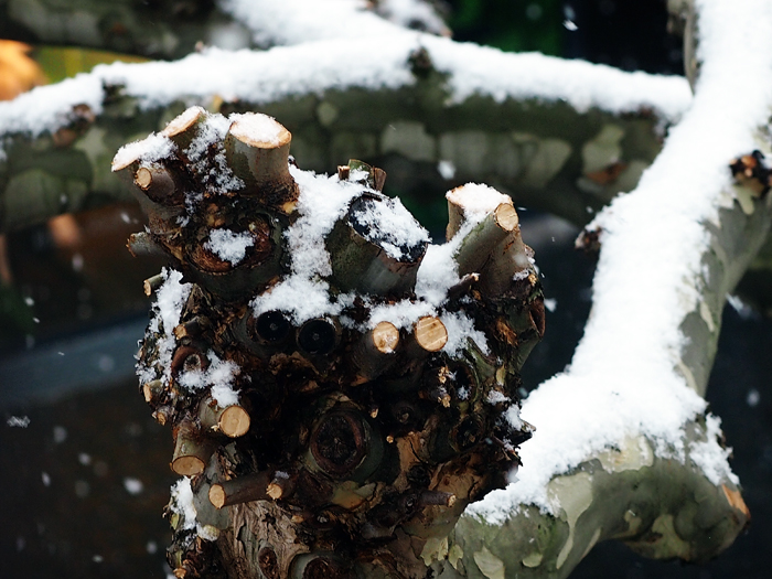 ザールブリュッケン