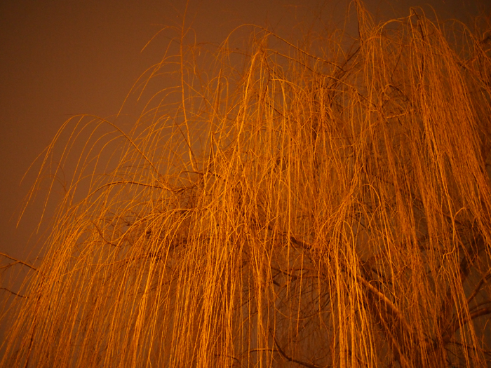 ザールブリュッケン