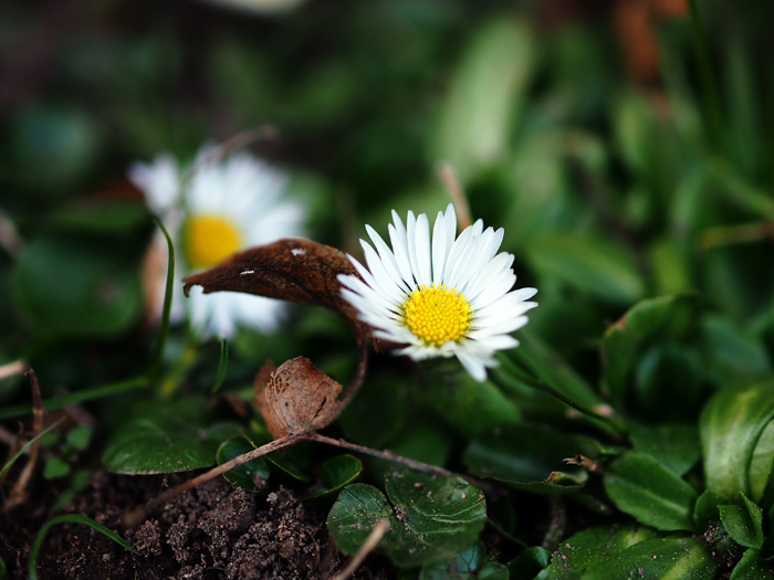 ザールブリュッケン