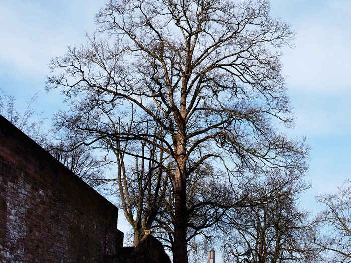 ザールブリュッケン