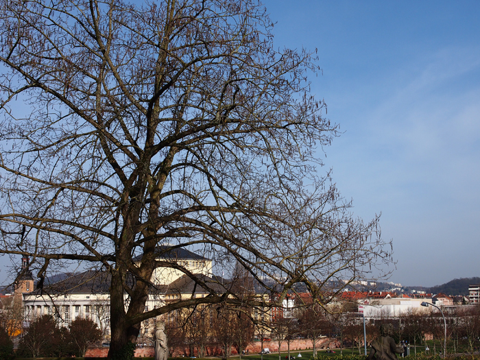 ザールブリュッケン