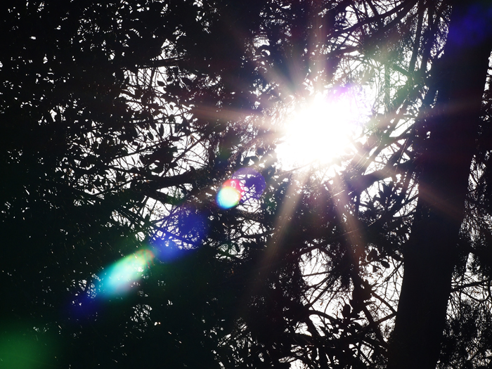 ザールブリュッケン