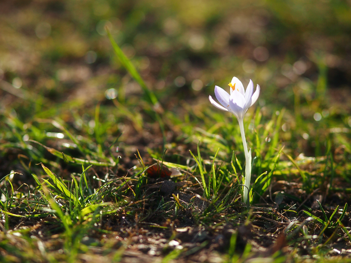 ザールブリュッケン