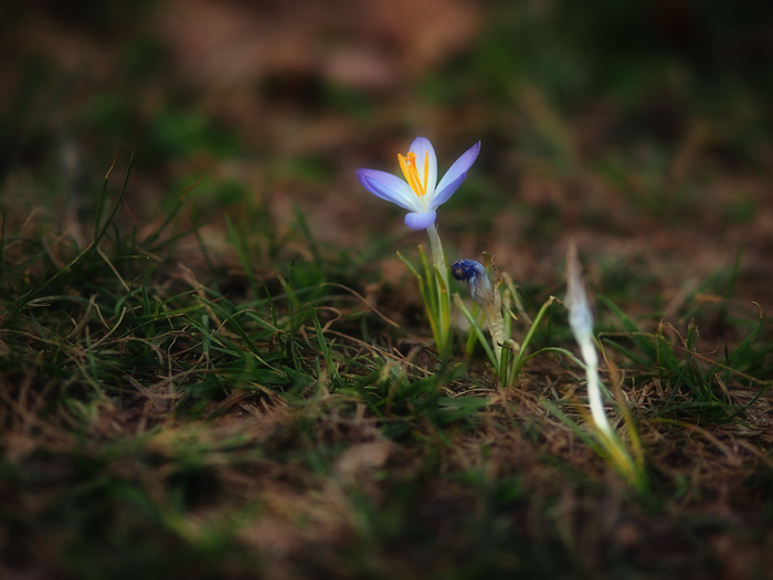 ザールブリュッケン