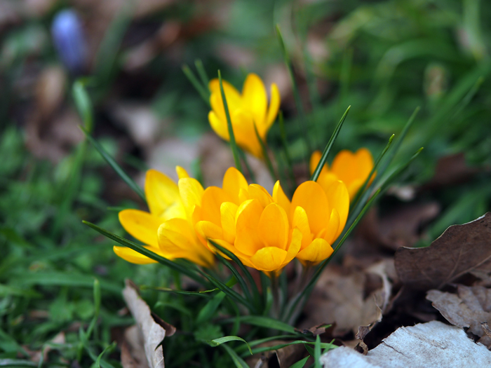 ザールブリュッケン