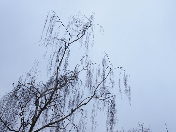 ザールブリュッケン