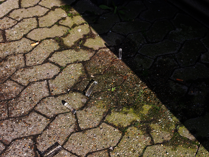 ザールブリュッケン