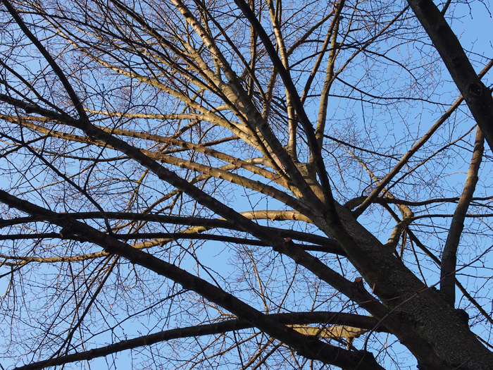 ザールブリュッケン