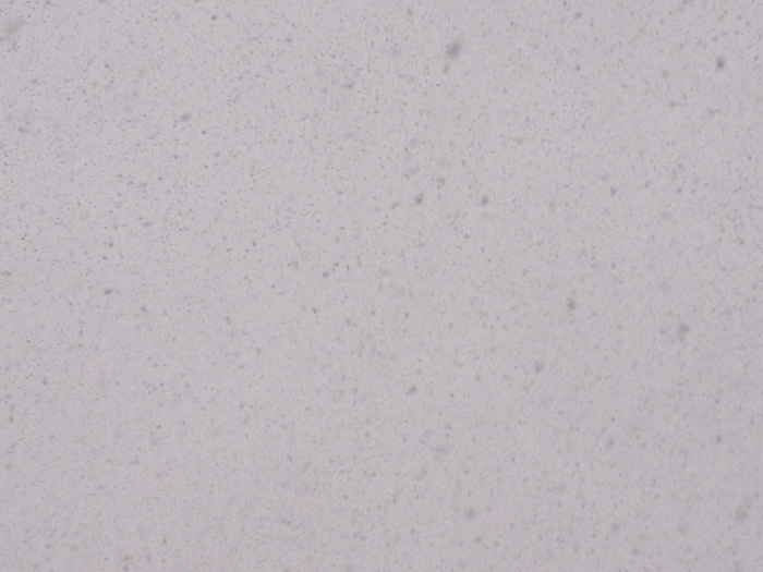 ザールブリュッケン