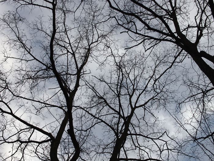 ザールブリュッケン