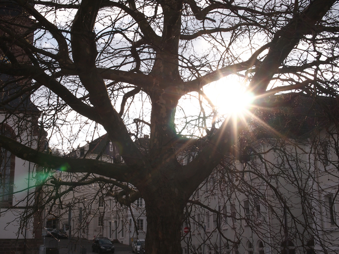 ザールブリュッケン