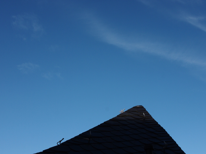 ザールブリュッケン